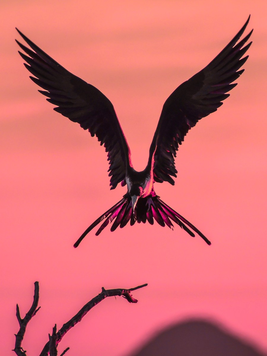 What is Mindfulness?